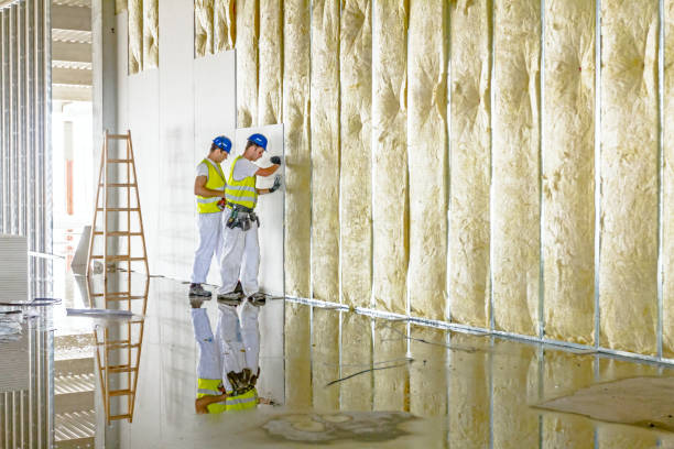Best Insulation for Specific Applications in Chelsea, MI